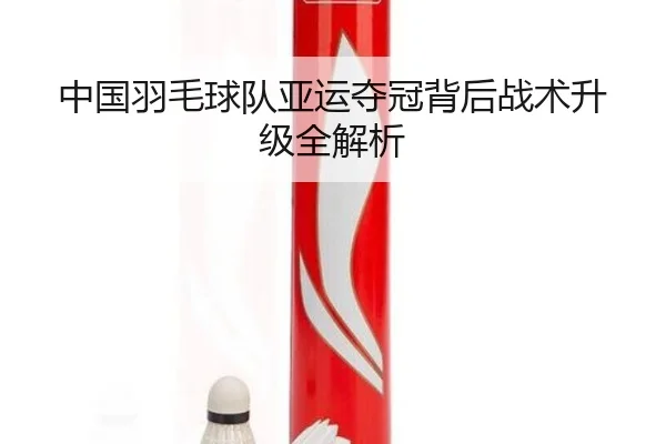 中国羽毛球队亚运夺冠背后战术升级全解析